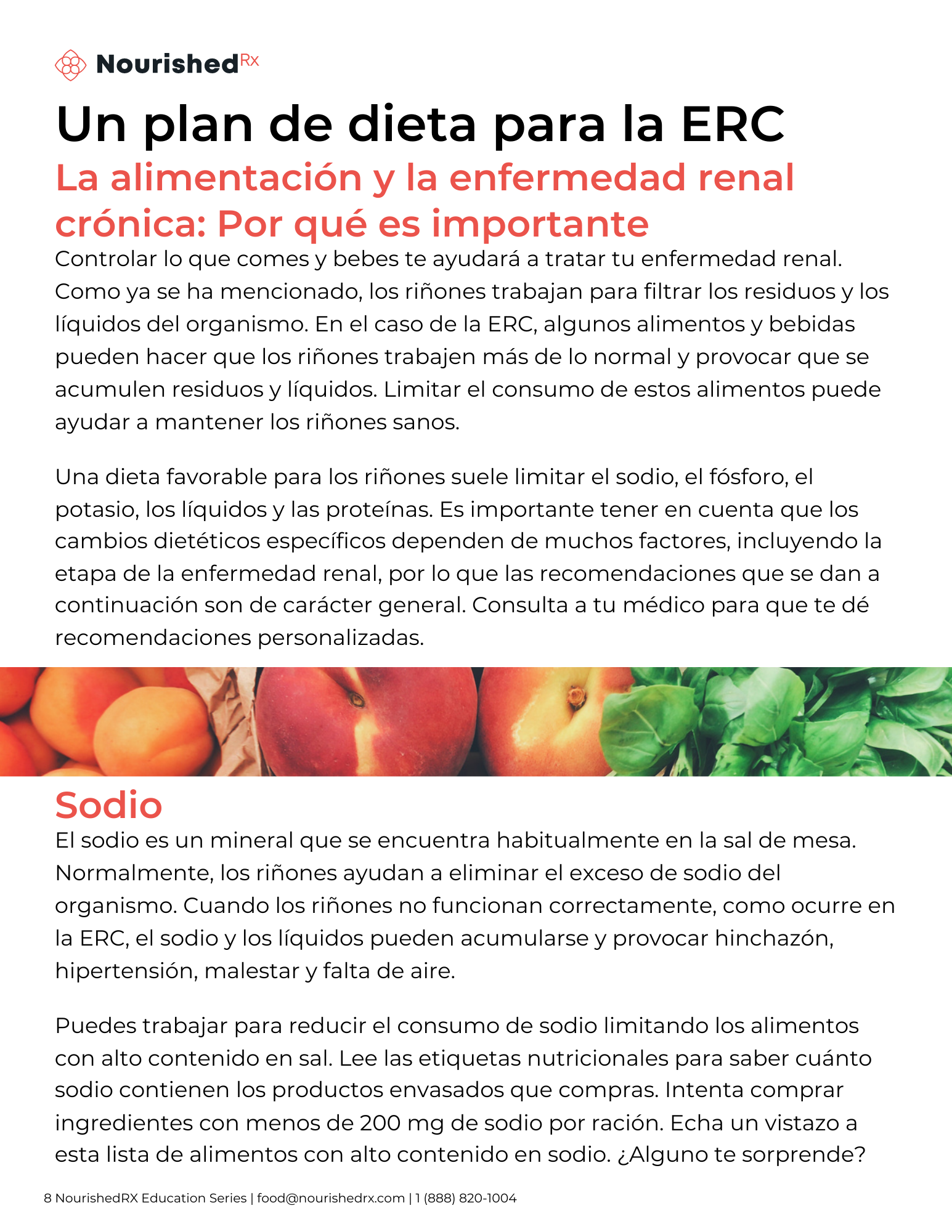 Enfermedad Renal Crónica Guía Nutricional Nourishedrx 7335